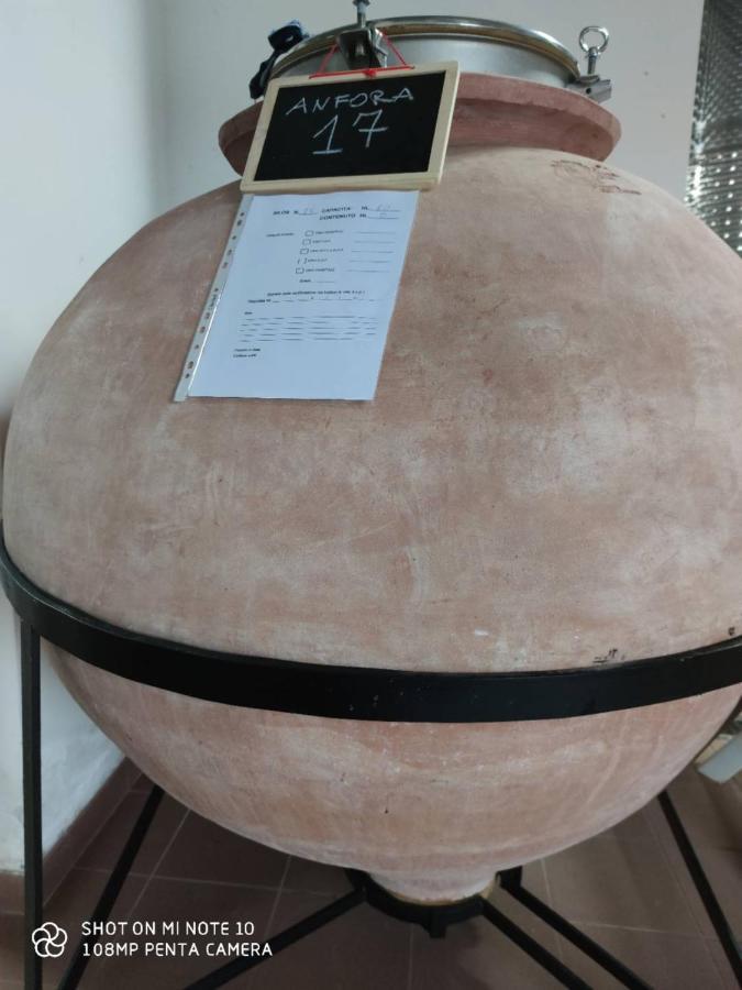 Vigna Al Parco Aparthotel Alvito Екстериор снимка
