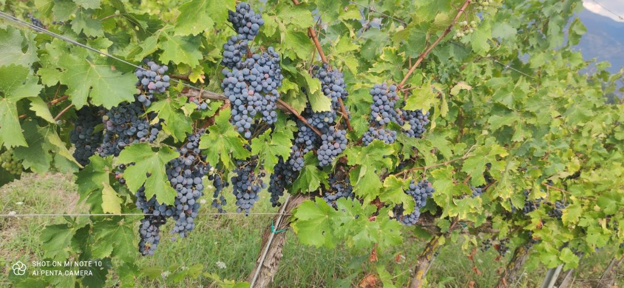 Vigna Al Parco Aparthotel Alvito Екстериор снимка
